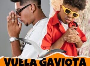 Vuela Gaviota – Luister La Voz Ft. Keyvin Ce (Audio Oficial)